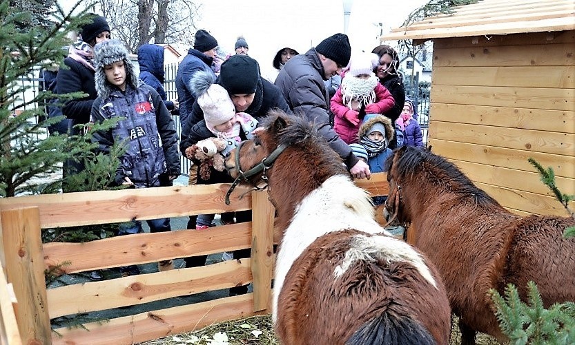 Tradycyjne szopki w mieleckich kościołach. W Bazylice była żywa szopka, na Wojsławiu ruchoma [ZDJĘCIA, WIDEO]