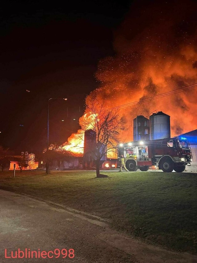 W Glinicy pod Lublińcem spłonęło 20 tysięcy kurczaków. Nocna akcja strażaków