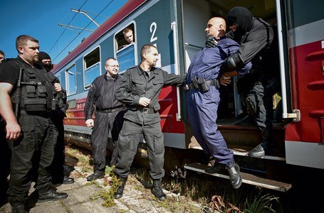 Ćwiczenia przed Euro 2012 i nie tylko. Służby mundurowe na poligonie (wideo)