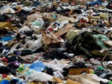 Druzgocące uzasadnienie wyroku sądu, dotyczące instalacji przekształcania odpadów ProNatury

