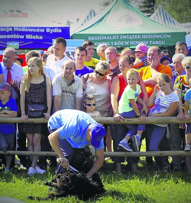 Zakaz sprzedaży jagnięciny z własnej hodowli odbiera rolnikom szansę na zarobek. Rozmawiali o tym podczas Agropromocji 2016