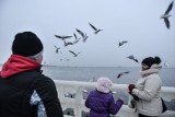 Wypoczynek nad Bałtykiem stał się modny także zimą. Jedni wypoczywają, inni inwestują w ich komfort i dobrze zarabiają
