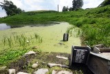 Tam sklerotyk, tu niemota. Ile jeszcze poczekamy na eksmisję tartaku?