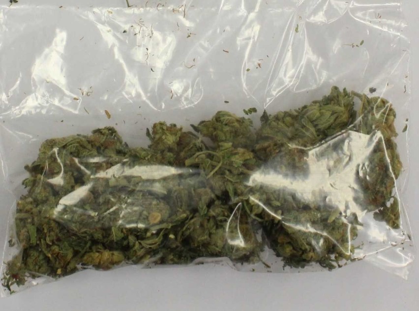 Zabezpieczonych ponad 16 gramów marihuany i 17 worków...