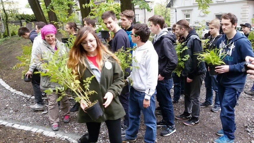 Sadzonki krzewów i kwiatów sadzili w środę bielscy uczniowie...