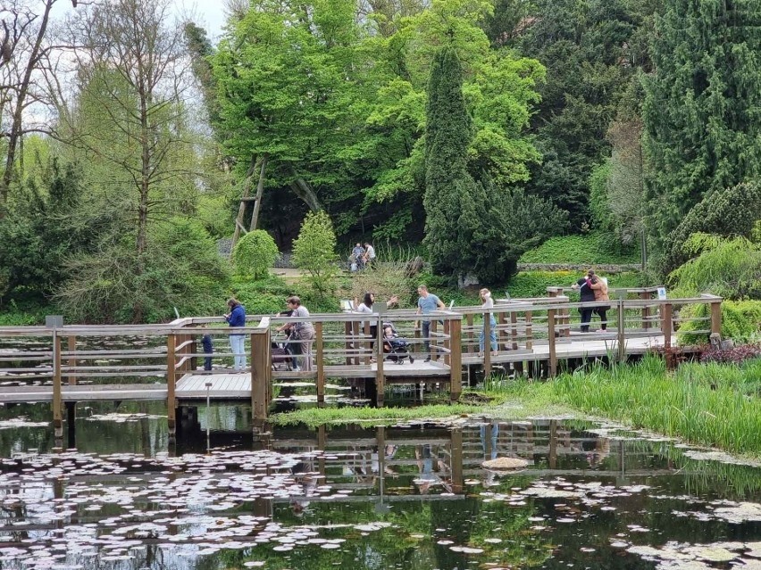 Arboretum Bolestraszyce.