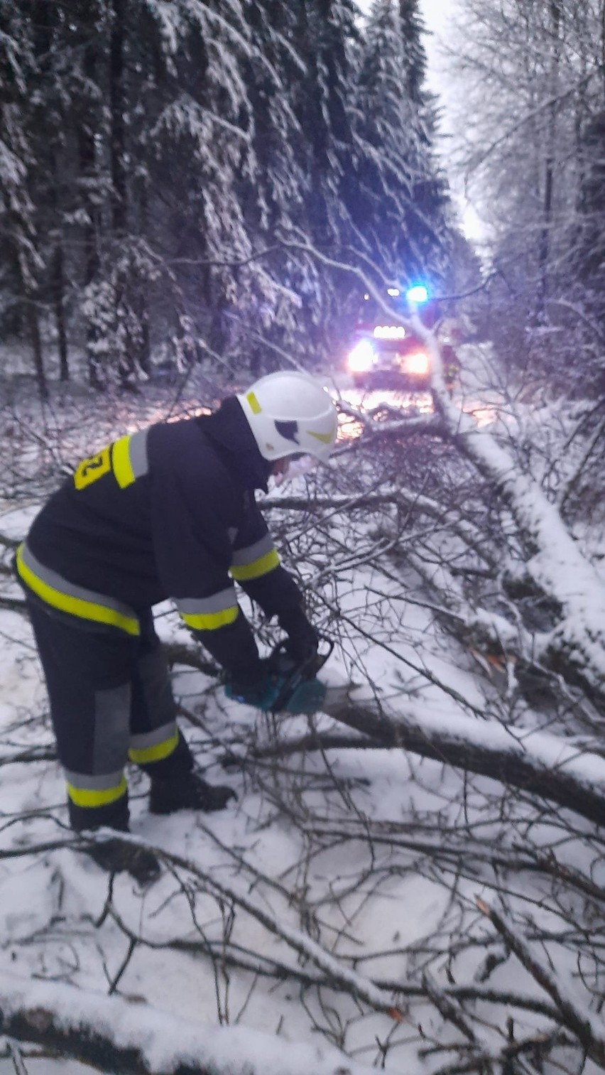 Powalone drzewo na drodze Łubin Rudołty - Stryki