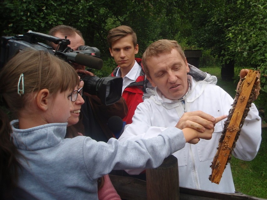 Chorzów: XX Dzień Miodu. Każdy mógł dotknąć plastra i kupić ulubioną odmianę miodu