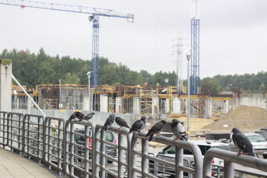 Nowy stadion ŁKS. Zobacz jak wygląda budowa obiektu przy al. Unii [ZDJĘCIA]