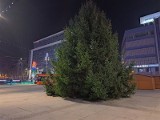 Śląskie. W miastach pojawiają się bożonarodzeniowe choinki. Drzewka stoją już m.in. w Bytomiu i Katowicach