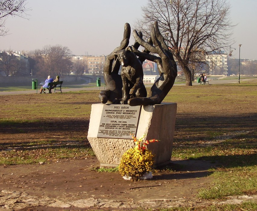 Pies Dżok - Najwierniejszy z wiernych, symbol psiej...