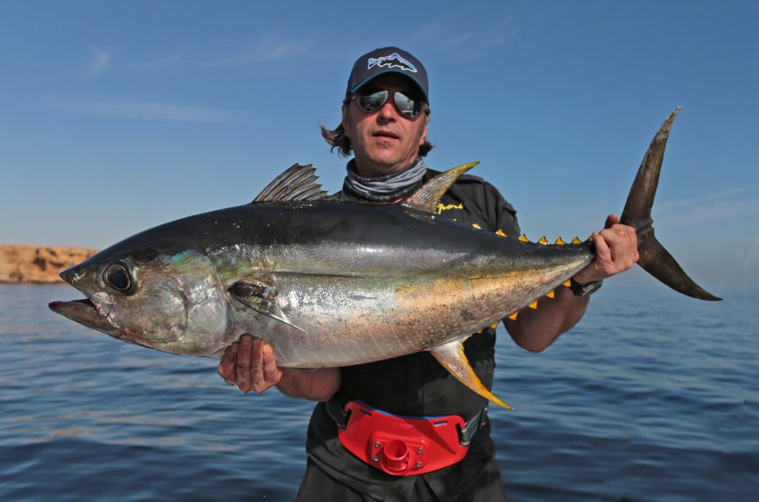 Jak się łowi tuńczyki w Morzu Czerwonym?