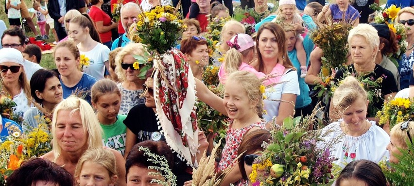 Odkryj Beskid Wyspowy. Na Potaczkowej moc okazały bukiety z ziół i kwiatów [ZDJĘCIA]