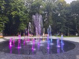 Kolorowa fontanna w Parku Saskim stała się wieczorną atrakcją Sandomierza (ZDJĘCIA)