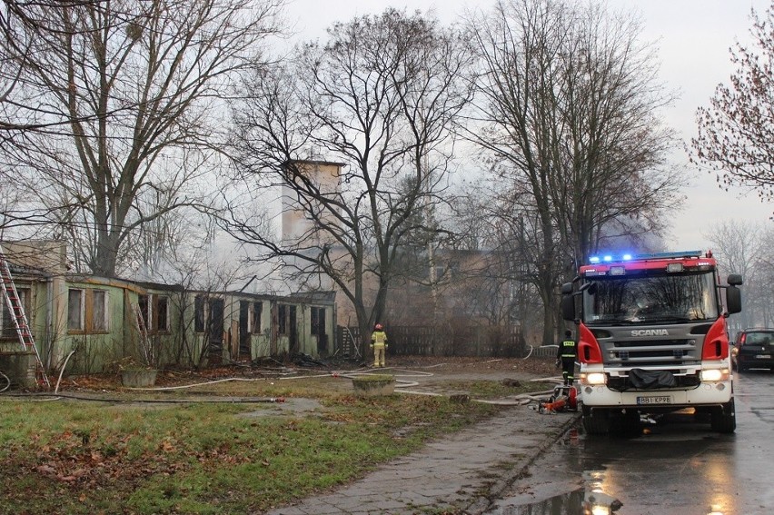 Pożar roszarni przy ul. Wyszyńskiego w Bielsku Podlaskim. Budynek spłonął doszczętnie [WIDEO]