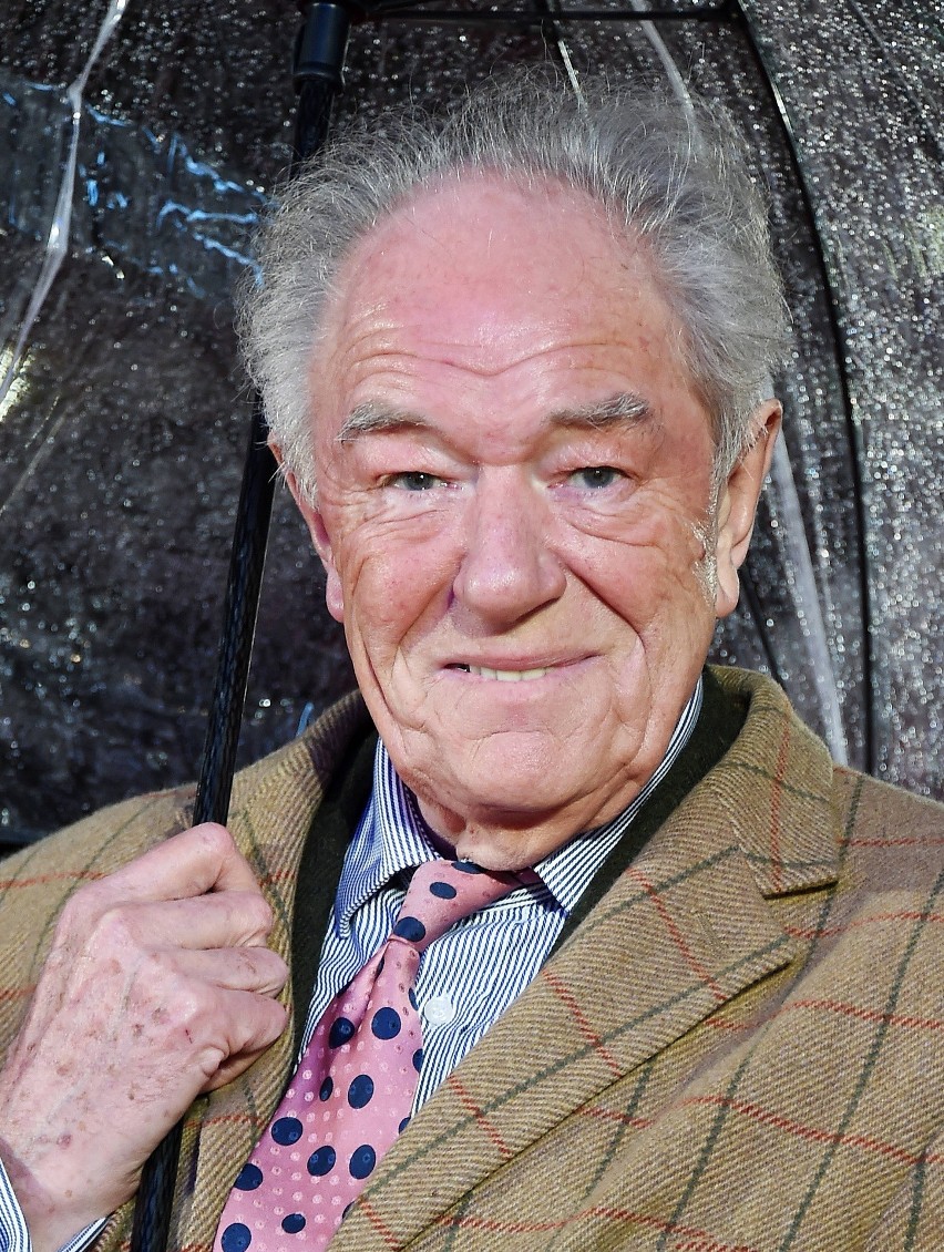 Nie żyje sir Michael Gambon. Aktor znany roli Albusa Dumbledore'a miał 82 lata