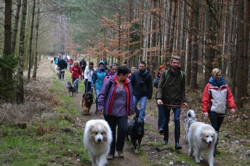 W sobotę w Jasieniu (gm. Lasowice Wielkie) zorganizowano...