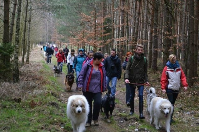 W sobotę w Jasieniu (gm. Lasowice Wielkie) zorganizowano pierwszy meeting psiarzy pod hasłem &#8222;Wszystkie piesy nasze są&#8221;.