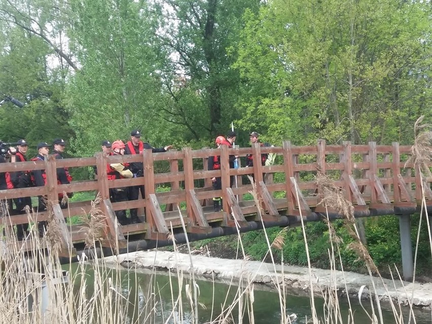 Nad Brynicą we wtorek, 16 maja, trwały poszukiwania...