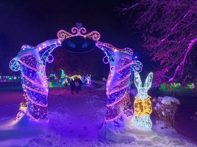 Ferie zimowe w Parku Miliona Świateł w Zabrzu