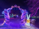 Ferie zimowe w Parku Miliona Świateł w Zabrzu. Magiczne spotkania i atrakcje dla całej rodziny!