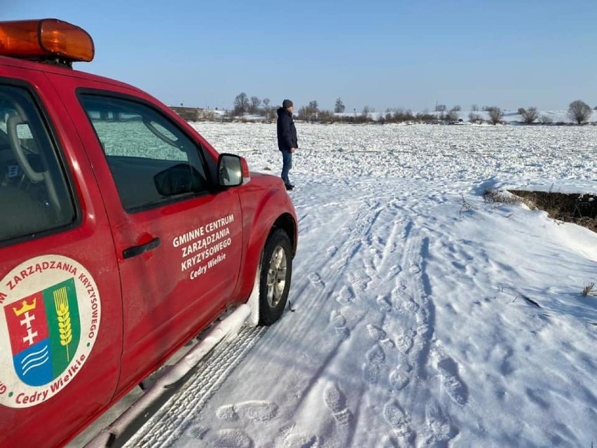 Wysoki stan Wisły na Żuławach. Większym zagrożeniem jednak są bobry, przez które mogą zostać przerwane wały przeciwpowodziowe