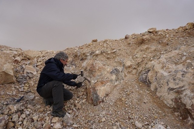 Odsłonięcie skał pirometamorficznych, w których został znaleziony karwowskiite. Okolice miejscowości Al Qatrana, Jordania.