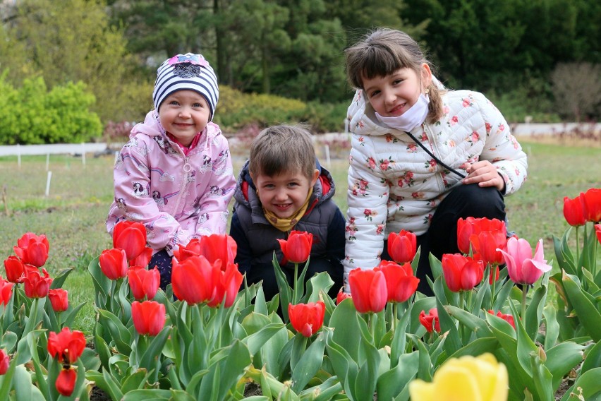 Ogród Botaniczny UMCS jest już otwarty. Jak wygląda zwiedzanie podczas pandemii? 