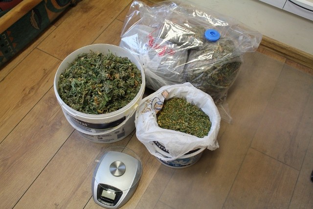 2 kilogramy marihuany i inne akcesoria zostały znalezione w wynajmowanym mieszkaniu w gminie Stepnica.