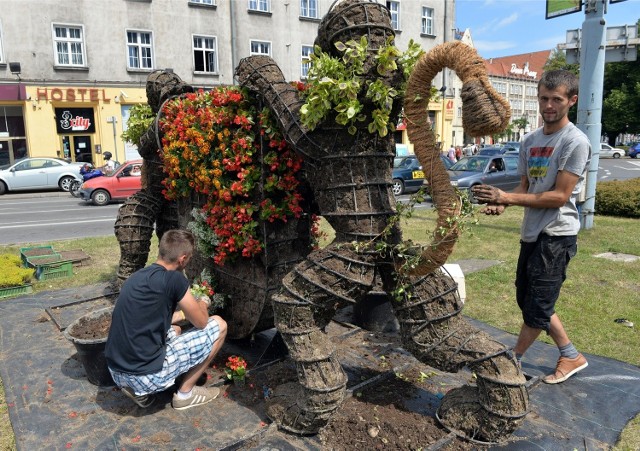 Układanie kwiatów w herbie Gdańska potrwa do piątku