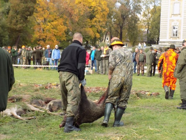 Tak wyglądał pokot przed pałacem w Żaganiu