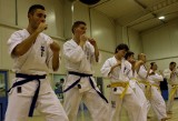 Karatecy z MKKK Shinkyokushin zaliczyli kolejne egzaminy. Zobacz zdjęcia