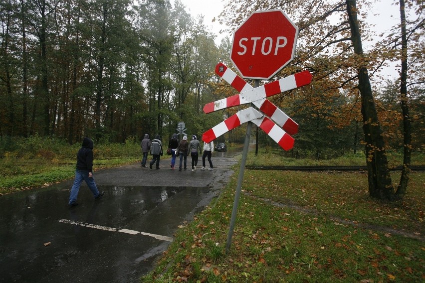 Tory kolejki w Parku Śląskim