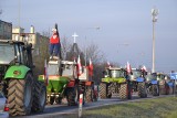 Protest rolników w Lipnie. Ciągniki zablokowały skrzyżowanie na DK 10. Zdjęcia
