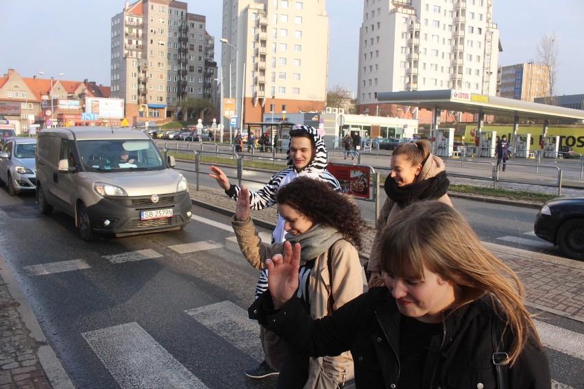Akcja policji: Zebry przeprowadzały ludzi przez pasy w Katowicach