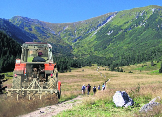 Ekolodzy w szoku! TPN chce kosić polany w Tatrach... traktorem | Gazeta  Krakowska