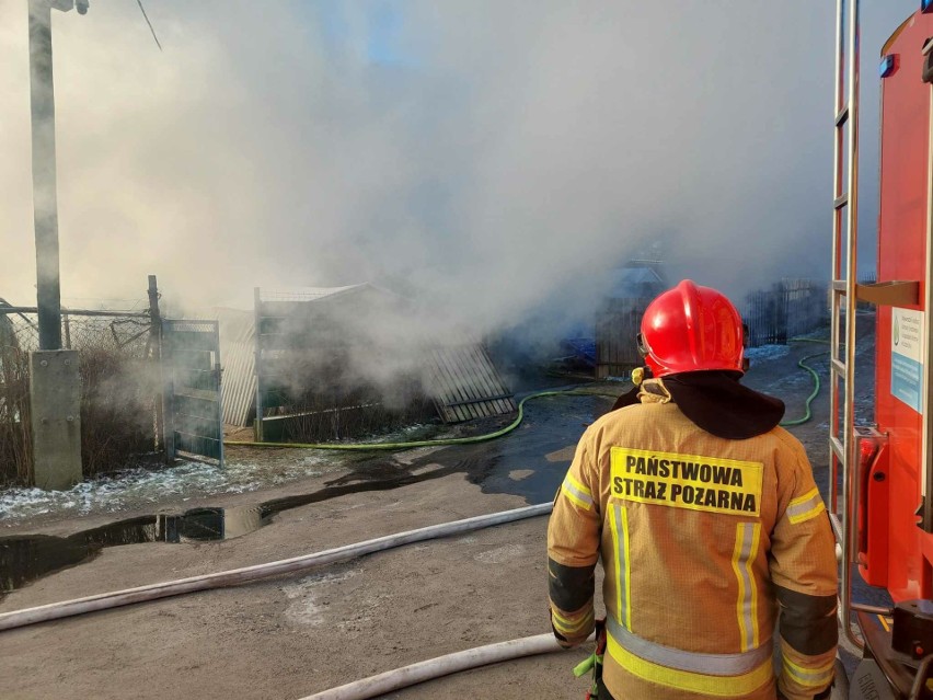 Pożar pomieszczeń gospodarczych w Stanominie. Na miejscu 5 zastępów straży pożarnej [ZDJĘCIA]