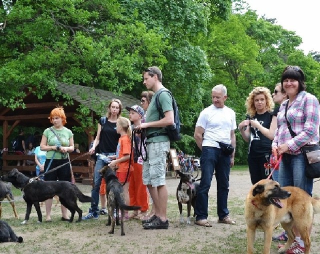 Toruńska Barbarka. Pokazowy trening "lirowych&#8221; zwierząt.