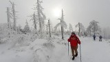 Uwaga, turyści! Trudne warunki na szlakach górskich. W Beskidach zima nie odpuszcza: "Nawet do pół metra śniegu" 