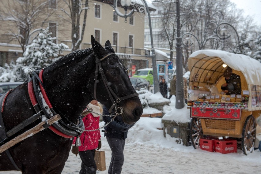 Zakopane przed sylwestrem. Śnieg, tłumy, korki i brak wody [ZDJĘCIA]