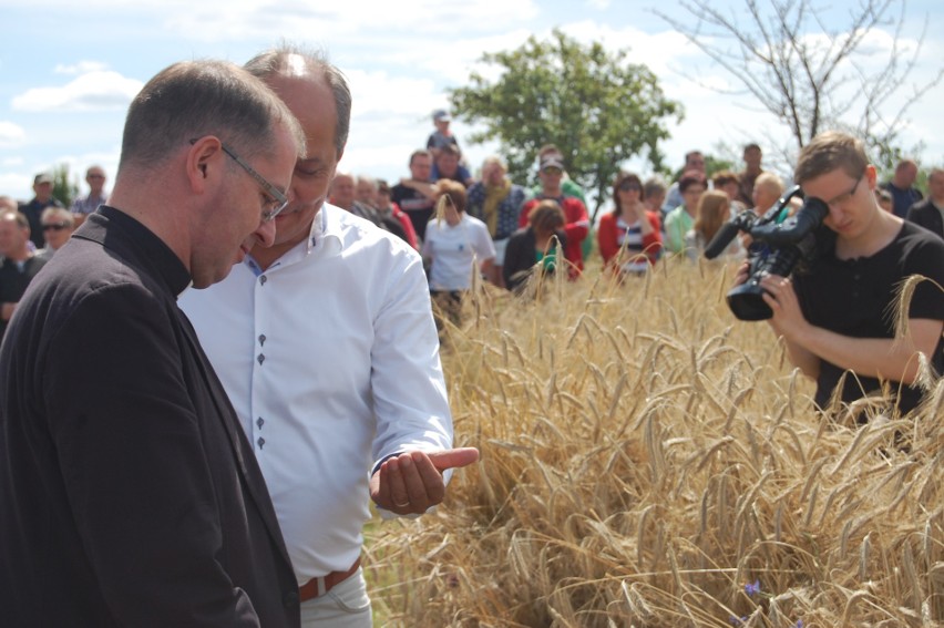 Mistrzostwa Polski w Koszeniu Zboża Metodą Tradycyjną