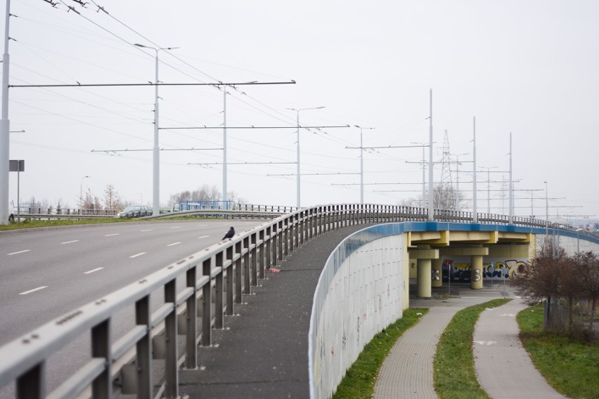 Szpital tymczasowy wreszcie gotowy. Pierwsi pacjenci trafią do niego w tym tygodniu