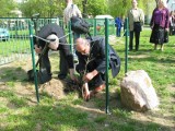 W Głogowie posadzili Dęby Katyńskie 