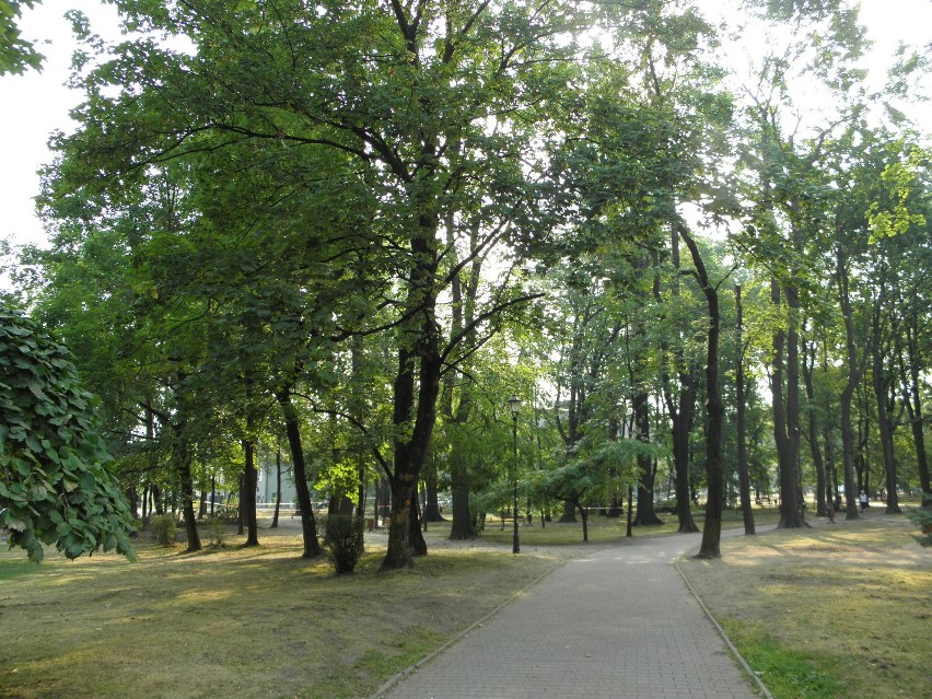Trwa porządkowanie parku w Żorach po nawałnicy