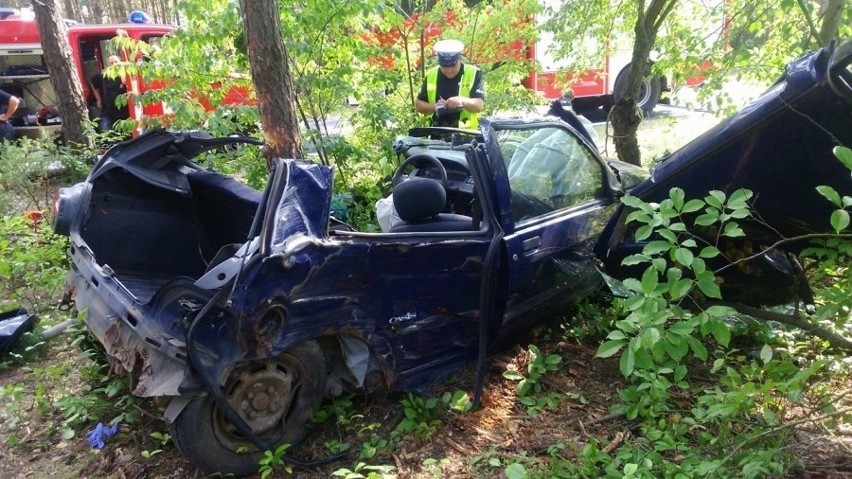 Ruzieck. Renault uderzyło w drzewo, kierowca zginął na miejscu