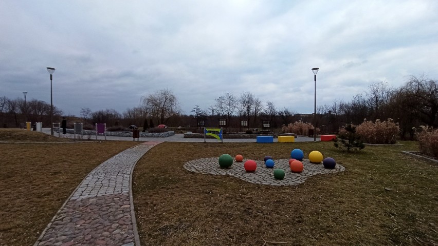 Szukamy wiosny w parku przy ul. Zawilcowej w Lublinie. Zobacz fotorelację