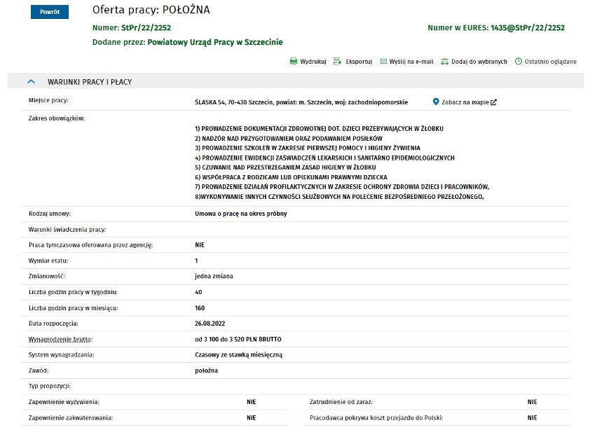 Praca w Szczecinie i regionie. Kogo poszukują pracodawcy? Sprawdź najnowsze oferty Powiatowego Urzędu Pracy