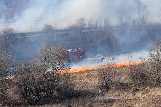 W tym pożarze w Myślenicach spłonęło ok. 25 ha traw. Gasiło go dziewięć zastępów straży