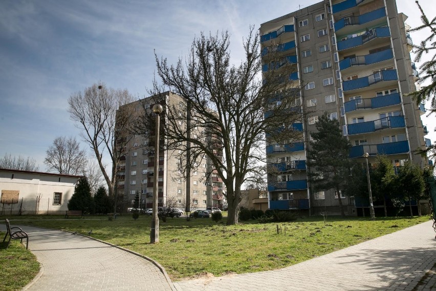 Dzielnica XIV Czyżyny - Park powstanie niedaleko Al. Pokoju....