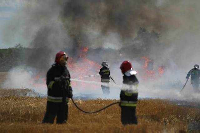 Dogaszanie pożaru trwało jeszcze we wtorek o godz. 9.